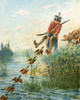 Baron Munchausen Catching Ducks With Bacon Fat Illustration By Alphonse Adolf Bichard From The Book The Adventures Of Baron Munchausen Published C1886 PosterPrint - Item # VARDPI1856409