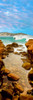 http://c328301.r1.cf1.rackcdn.com/PPI169343LARGE.jpg