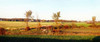 http://c328301.r1.cf1.rackcdn.com/PPI145333S.jpg
