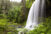 North Middle Falls In Silver Falls State Park; Oregon, Usa PosterPrint - Item # VARDPI1877096