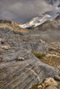 Mount Athabasca; Jasper National Park, Alberta, Canada PosterPrint - Item # VARDPI1837566