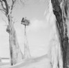 Frozen birdhouse Poster Print - Item # VARSAL255423962 Frozen birdhouse Poster Print - Item # VARSAL255423962