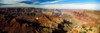 High angle view of a canyon, Grand Canyon National Park, Arizona, USA Poster Print - Item # VARPPI117681
