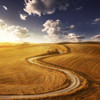A country road in field at sunset against moody sky, Tuscany, Italy Poster Print - Item # VARPSTEVK200224S