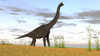 Large Brachiosaurus in a grassy field Poster Print - Item # VARPSTKVA600569P