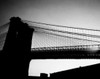 USA  New York State  New York City  Brooklyn Bridge Poster Print - Item # VARSAL255424832