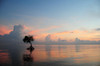http://c328301.r1.cf1.rackcdn.com/DPI2038567LARGE.jpg