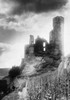 Castle on a hill  Ehrenfels Castle  Germany Poster Print - Item # VARSAL9902295