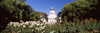 http://c328301.r1.cf1.rackcdn.com/PPI146930L.jpg