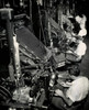 High angle view of a group of male workers operating linotype machines  New York World Telegraph Poster Print - Item # VARSAL2554299