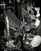 High angle view of a group of male workers operating linotype machines  New York World Telegraph Poster Print - Item # VARSAL2554299