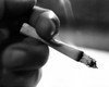 Close-up oh hand holding cigarette Poster Print - Item # VARSAL2556668