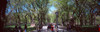 http://c328301.r1.cf1.rackcdn.com/PPI148989S.jpg