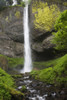 Narrow Waterfall With Moss Covered Cliffs; Oregon, United States of America PosterPrint - Item # VARDPI1965182