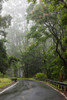 http://c328301.r1.cf1.rackcdn.com/DPI2116416LARGE.jpg