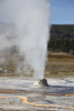 September 11, 2009 - Beehive Geyser erupting, Upper Geyser Basin geothermal area, Yellowstone Caldera, Yellowstone National Park, Wyoming. Poster Print - Item # VARPSTRRS300318S