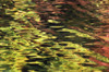 Oak And Maple Trees Reflections In Water. Autumn. PosterPrint - Item # VARDPI2066685