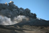 November 2006 - Ash clouds erupting from southeast crater during eruption of Mount Etna volcano, Sicily, Italy Poster Print - Item # VARPSTRRS300126S