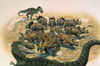 A herd of Triceratops defend their territory against a pair of Tyrannosaurus Rex during the Cretaceous Period of North America Poster Print - Item # VARPSTMRH600019P