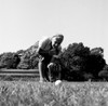 Surface level view of young woman playing golf Poster Print - Item # VARSAL255417138