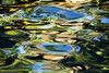 Hawaii, Maui, Abstract View Of Colorful Reflections On Calm Water. PosterPrint - Item # VARDPI1976247