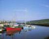 Dingle Peninsula, Dingle Harbour PosterPrint - Item # VARDPI1803210