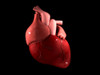 Conceptual image of human heart Poster Print - Item # VARPSTSTK700670H