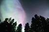 View Of Trees And Northern Lights, Birds Hill Provincial Park, Manitoba PosterPrint - Item # VARDPI2028483 View Of Trees And Northern Lights, Birds Hill Provincial Park, Manitoba PosterPrint - Item # VARDPI2028483