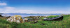 Connemara, Co Galway, Ireland; Boat Near The Water PosterPrint - Item # VARDPI1804668