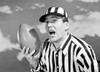 American football referee holding ball Poster Print - Item # VARSAL255420915A