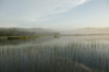 Lake Of The Woods, Ontario, Canada PosterPrint - Item # VARDPI1836684