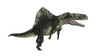 Arizonasaurus dinosaur, white background Poster Print - Item # VARPSTEDV600173P