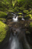 Ruckel Creek; Oregon, United States of America PosterPrint - Item # VARDPI12281498