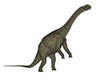 Uberabatitan dinosaur isolated on white background Poster Print