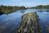 Coast East of Lunenburg; Nova Scotia, Canada PosterPrint - Item # VARDPI2429671