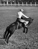 Rear view of a cowboy riding a bucking horse at a rodeo  Ellensburg  Washington  USA Poster Print - Item # VARSAL25521962