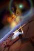 A spacecraft flys over another world Poster Print