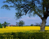 http://c328301.r1.cf1.rackcdn.com/PDDEU30PTH0201B.jpg
