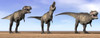 Three Tyrannosaurus Rex dinosaurs standing in the desert by daylight Poster Print - Item # VARPSTEDV600042P