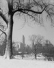 USA  New York State  New York City  Downtown district seen through winter park Poster Print - Item # VARSAL255418404