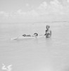 Young women relaxing in sea Poster Print - Item # VARSAL255421641