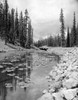 USA  Wyoming  Yellowstone National Park  Isa Lake Poster Print - Item # VARSAL255416591