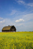 Alberta, Canada; An Old Barn In A Field PosterPrint - Item # VARDPI1874702