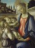 Madonna and Child   Sandro Botticelli   Museo de Capodimonte  Napoli Poster Print - Item # VARSAL263640