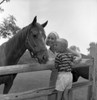Mother and son stroking horse Poster Print - Item # VARSAL255421011