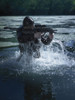 Special operations forces soldier emerges from water armed with a Steyr AUG assault rifle Poster Print - Item # VARPSTTWE300054M