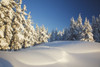 Winter Scene, Mount Hood, Oregon Cascades, Oregon, Usa PosterPrint - Item # VARDPI1867501