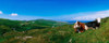 http://c328301.r1.cf1.rackcdn.com/DPI1813277LARGE.jpg