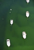 Aerial view of boats in the sea  Cape Cod  Barnstable County  Massachusetts  USA Poster Print by Panoramic Images (24 x 36) - Item # PPI132444