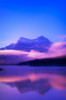 Maligne Lake, Jasper National Park, Alberta, Canada PosterPrint - Item # VARDPI1801598